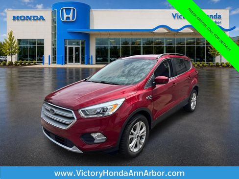 Used 2019 Ford Escape SEL AWD/4WD image 1