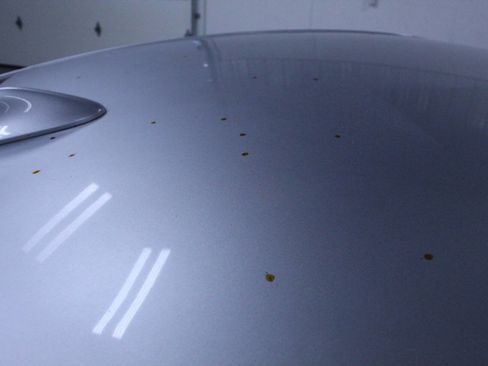 Used 2019 Honda Accord Sport image 32