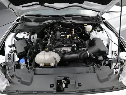 Used 2021 Ford Mustang Coupe w/ Equipment Group 101A image 12