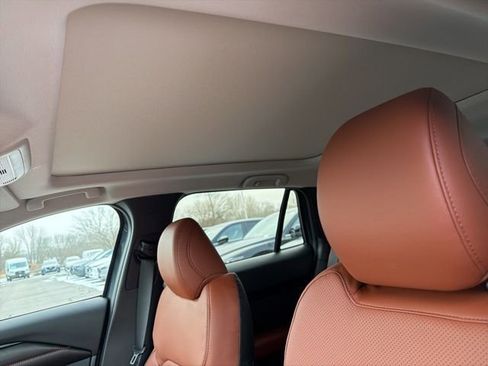 New 2026 MAZDA CX-50 Meridian Edition w/ Cargo Package AWD/4WD image 12