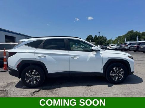 Used 2024 Hyundai Tucson Blue AWD/4WD image 1