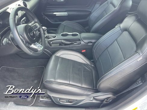 Used 2023 Ford Mustang GT Premium w/ Equipment Group 401A RWD image 10