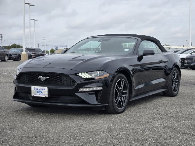 Certified 2023 Ford Mustang Premium RWD image 3