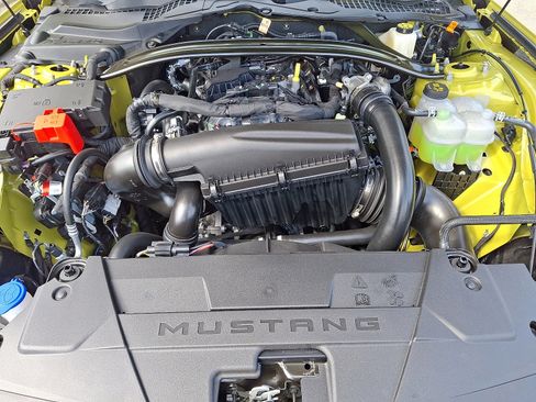 New 2025 Ford Mustang Premium w/ Mustang Nite Pony Package image 19