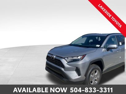 New 2025 Toyota RAV4 XLE