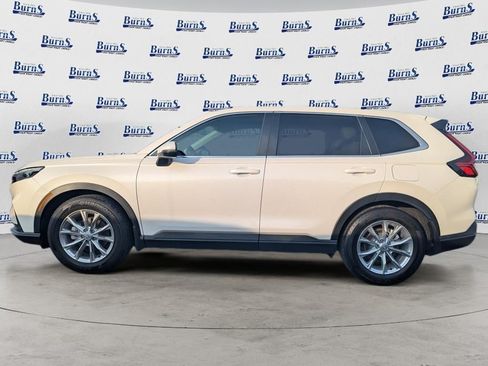 Used 2025 Honda CR-V EX-L image 6