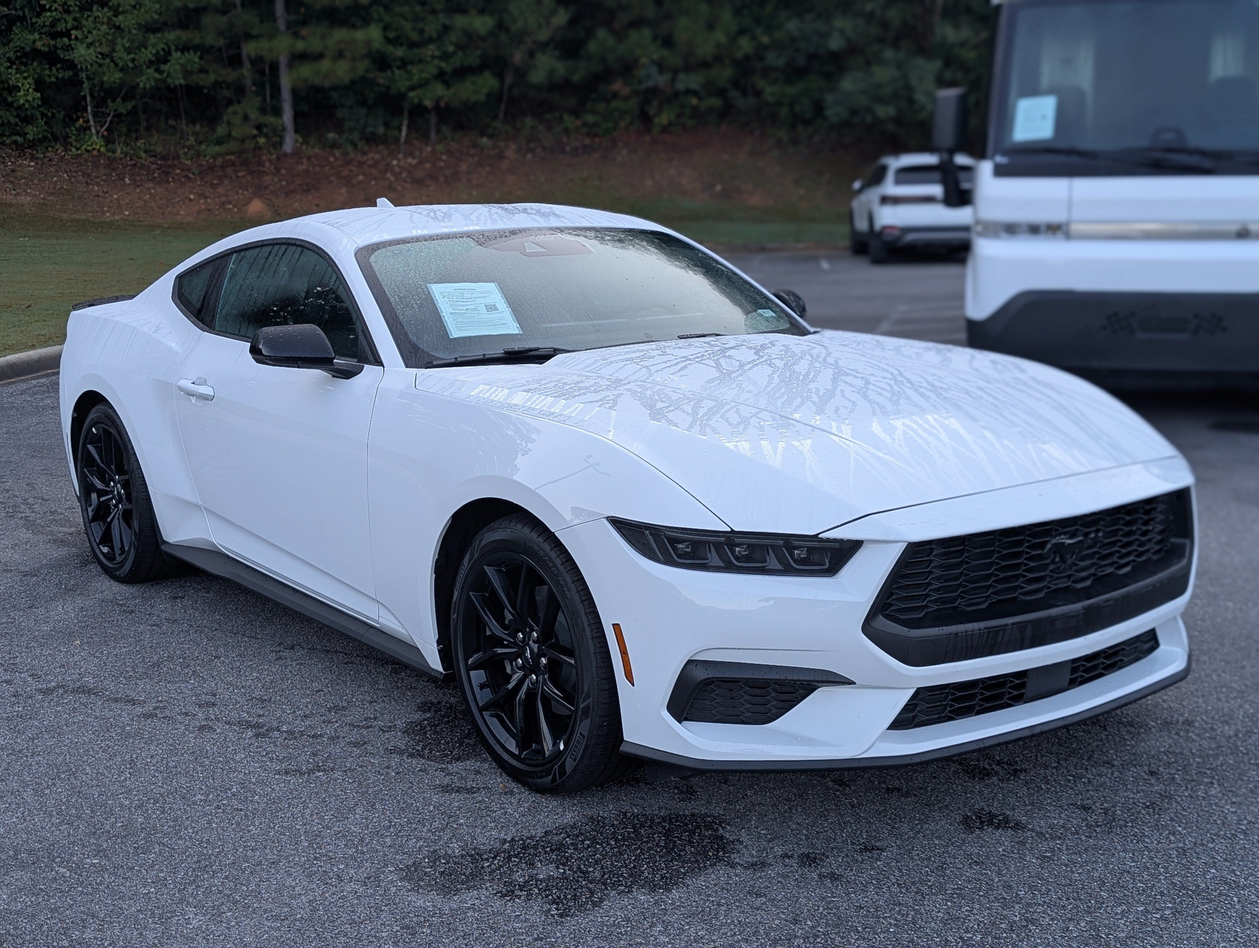 Used 2026 Ford Mustang Premium RWD image 11