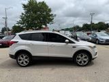 Used 2019 Ford Escape Titanium image 4