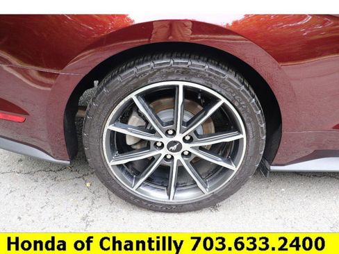 Used 2018 Ford Mustang Premium w/ Equipment Group 201A RWD image 27