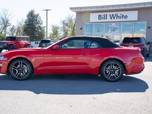 Used 2023 Ford Mustang Premium image 3