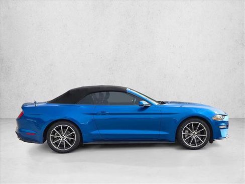 Used 2019 Ford Mustang Premium w/ Equipment Group 201A image 4
