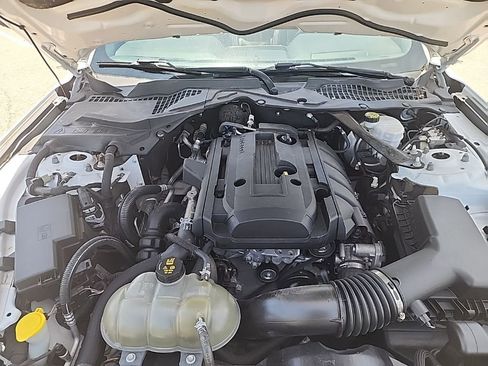 Used 2018 Ford Mustang Premium RWD image 3