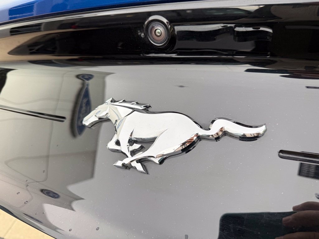 Used 2018 Ford Mustang Premium w/ Equipment Group 201A RWD image 17