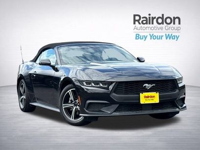 Used 2024 Ford Mustang Premium