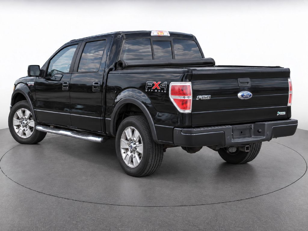 Used 2010 Ford F150 FX4 AWD/4WD image 5