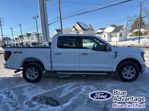 Certified 2025 Ford F150 XLT w/ Equipment Group 301A Standard image 5