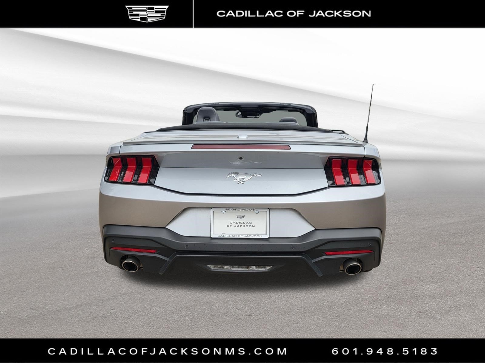 Used 2025 Ford Mustang Premium RWD image 5