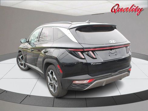 Used 2024 Hyundai Tucson Limited image 5