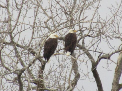 New 2026 Ford Escape ST-Line w/ Tech Pack #1 image 28