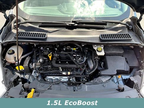 Used 2019 Ford Escape SE FWD image 29