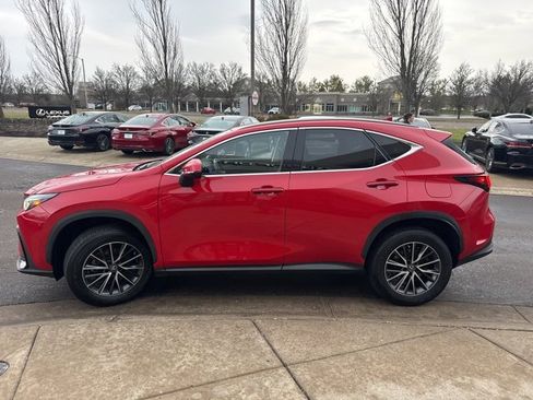 Used 2023 Lexus NX 350 AWD image 6