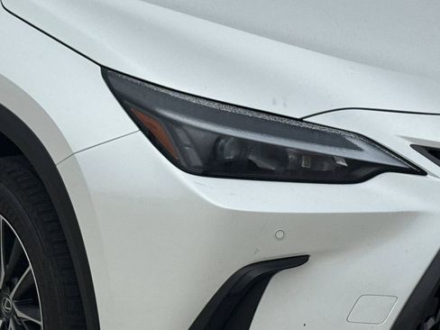 Certified 2025 Lexus NX 350h AWD w/ Cold Area Package image 12
