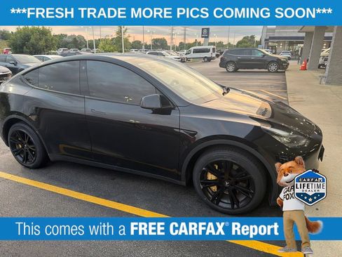 Used 2021 Tesla Model Y Long Range AWD/4WD image 3