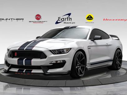 Used 2019 Ford Mustang Shelby GT350R w/ GT350R Equipment Group 920A
