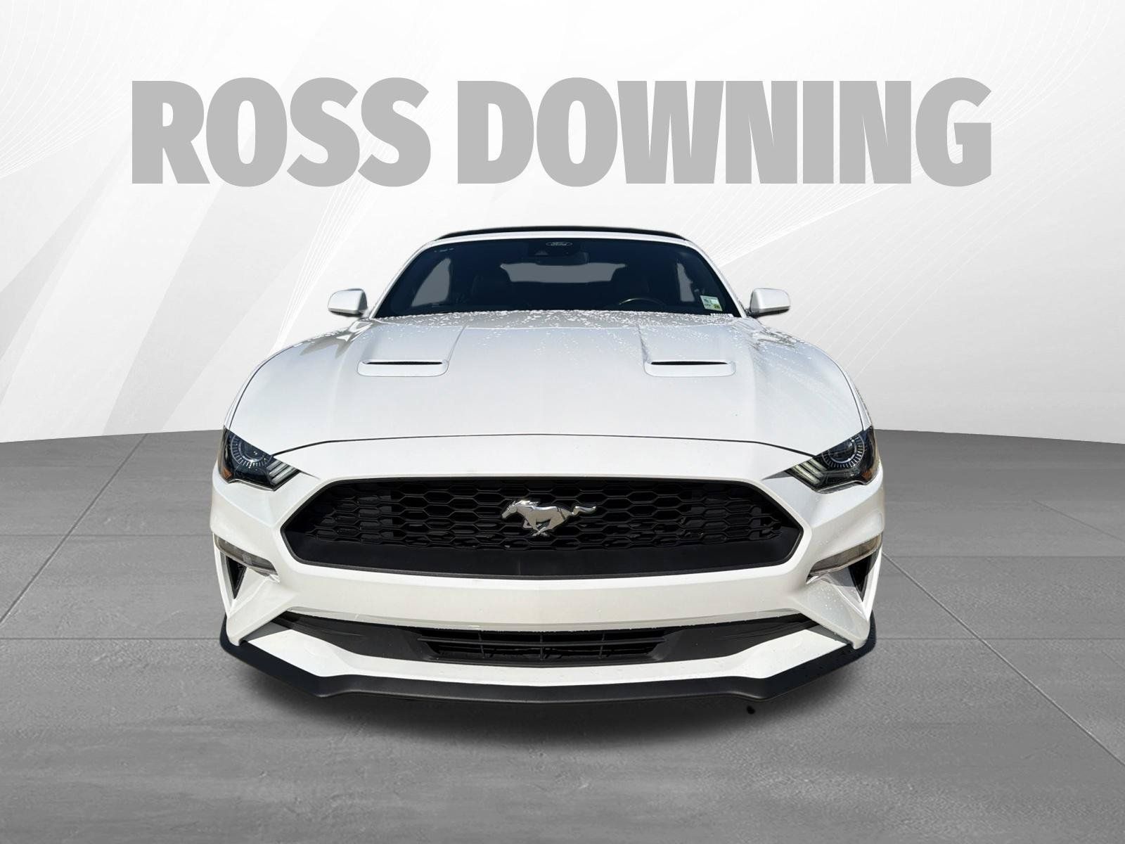 Used 2022 Ford Mustang Premium RWD image 2