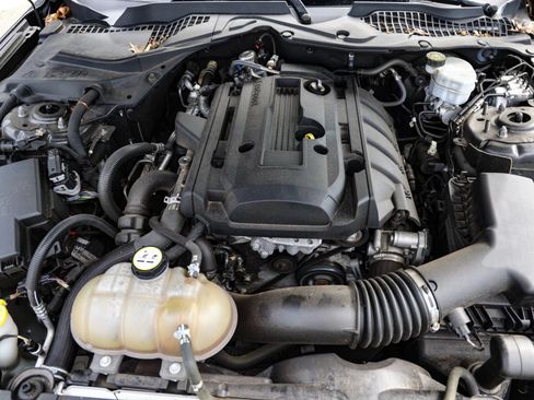 Used 2019 Ford Mustang Coupe RWD image 30
