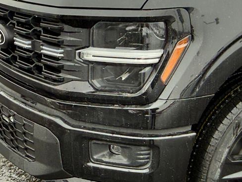 New 2025 Ford F150 STX w/ LOBO Package image 11