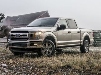 Used 2019 Ford F150 XLT w/ Equipment Group 302A Luxury image 1
