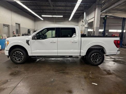 Used 2023 Ford F150 XLT w/ Equipment Group 302A High image 6