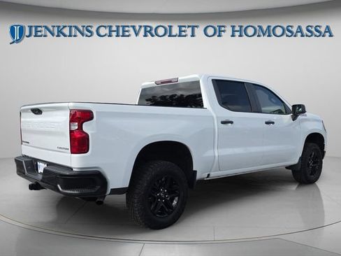 Used 2024 Chevrolet Silverado 1500 Custom Trail Boss AWD/4WD image 4