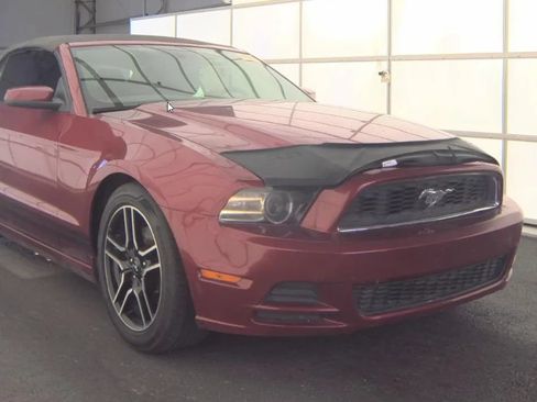 Used 2014 Ford Mustang Premium w/ Equipment Group 201A RWD image 3