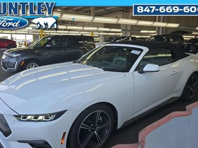 Used 2024 Ford Mustang Premium