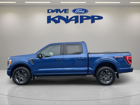 Used 2023 Ford F150 XLT w/ Equipment Group 302A High AWD/4WD image 4
