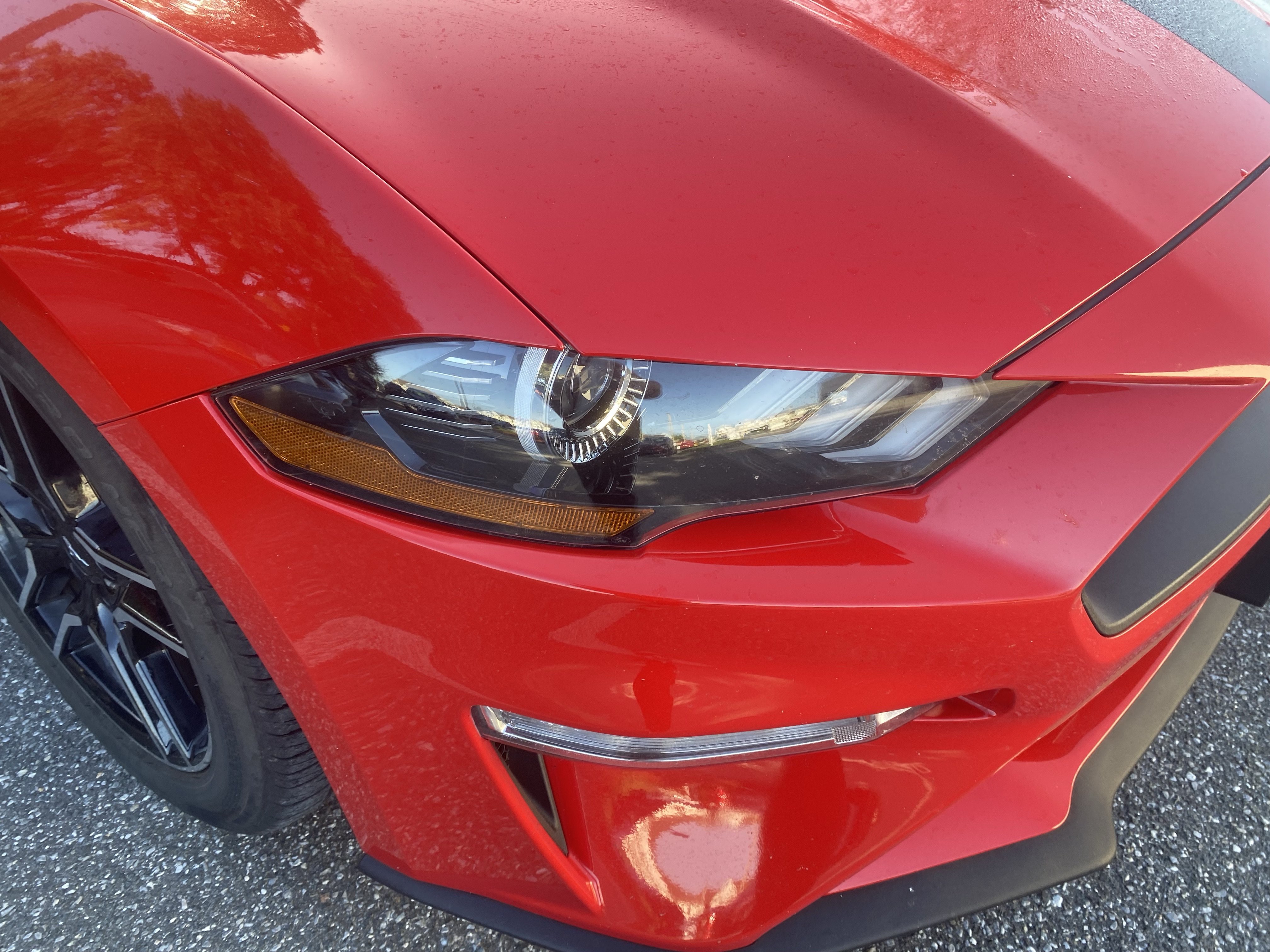 Used 2018 Ford Mustang Premium w/ Equipment Group 201A RWD image 6