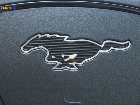 Used 2021 Ford Mustang Mach-E Premium image 48