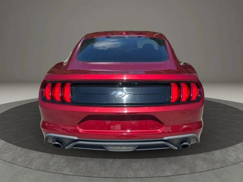 Used 2019 Ford Mustang Coupe RWD image 4