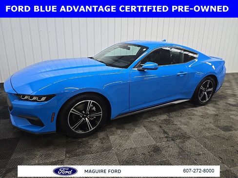 Certified 2024 Ford Mustang Premium image 8