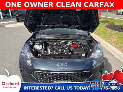 Used 2022 Ford Escape SE w/ Convenience Package image 4