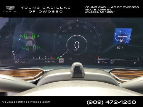 Used 2024 Cadillac Escalade Premium Luxury AWD/4WD image 13