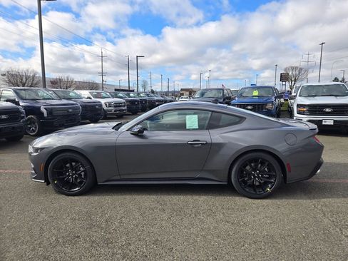 New 2026 Ford Mustang Premium w/ Mustang Nite Pony Package image 8