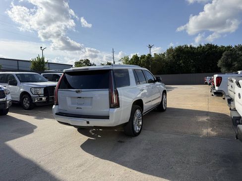 Used 2017 Cadillac Escalade Platinum AWD/4WD image 5