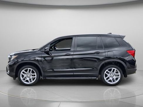 Used 2025 Honda Passport EX-L image 3