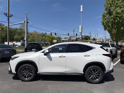 Used 2024 Lexus NX 350h AWD image 3