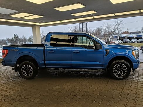 Used 2021 Ford F150 XLT w/ Equipment Group 302A High image 4