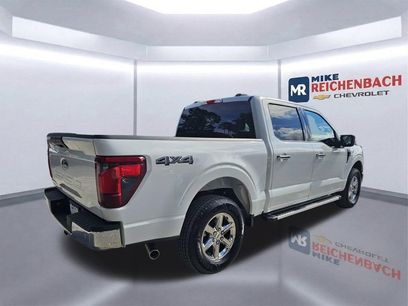 Used 2025 Ford F150 XLT w/ Equipment Group 301A Standard