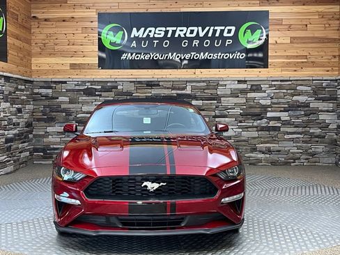 Used 2019 Ford Mustang Convertible w/ Equipment Group 101A RWD image 7